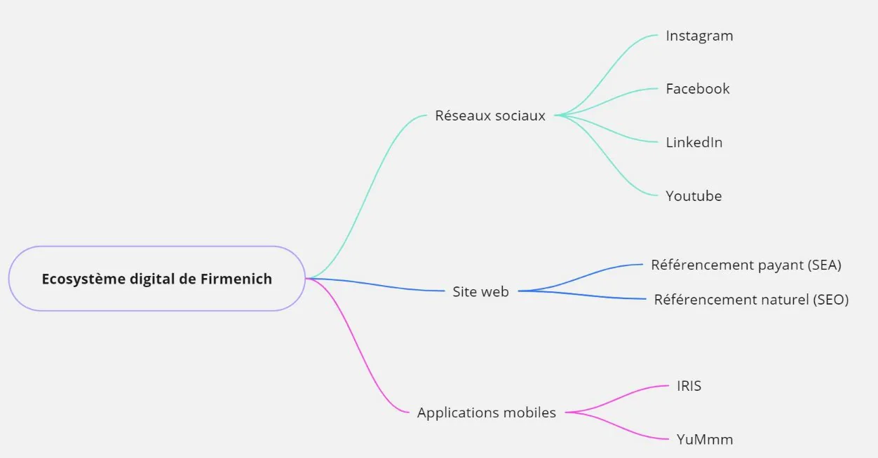 Cartographie de l'écosystème digital de DSM-Firmenich : site web, réseaux sociaux, applications